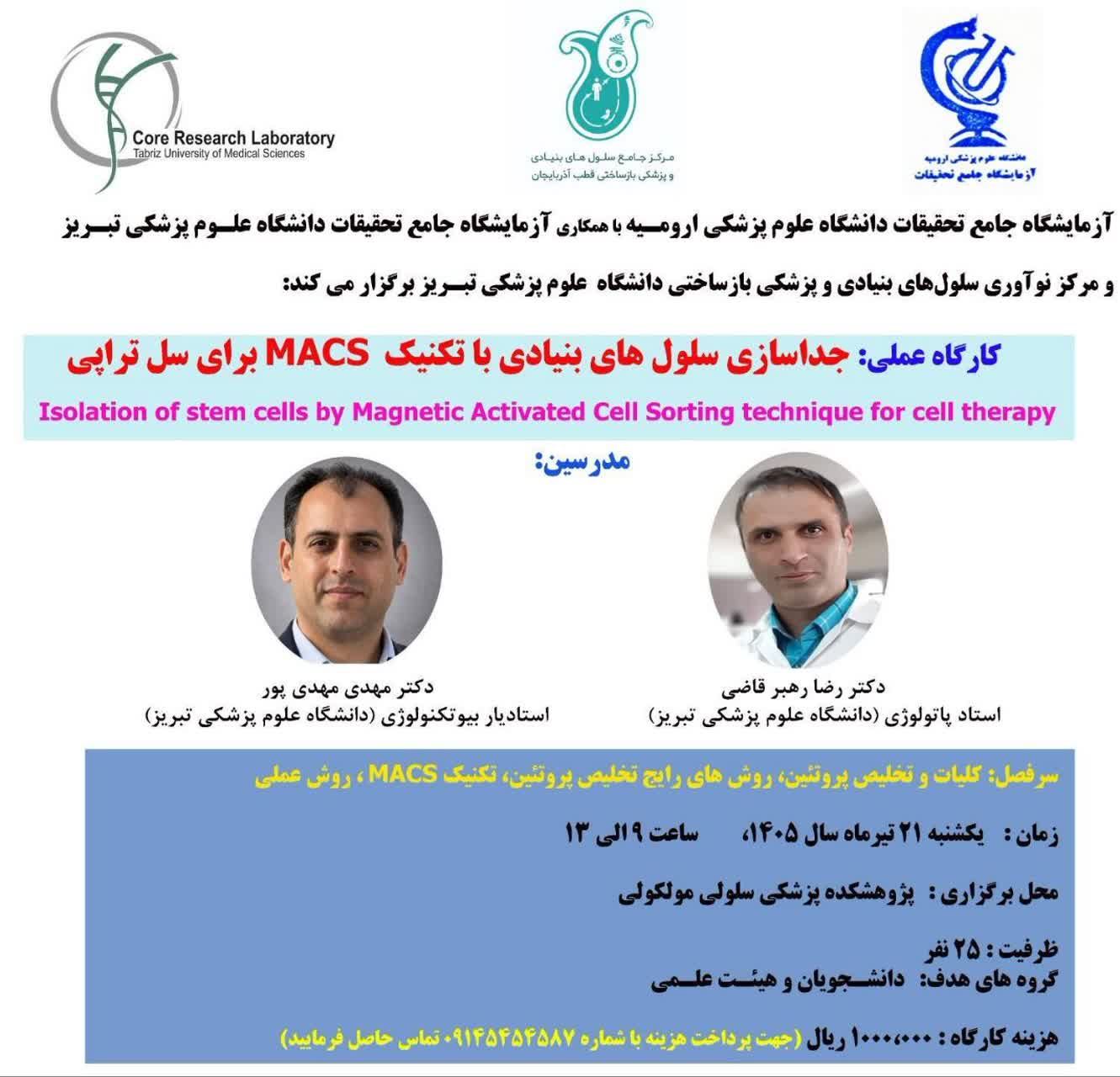 برگزاری کارگاه مکس